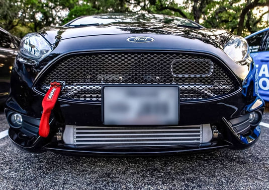 Ford Fiesta ST (2014-2019) Mesh Grille Set - FSPE