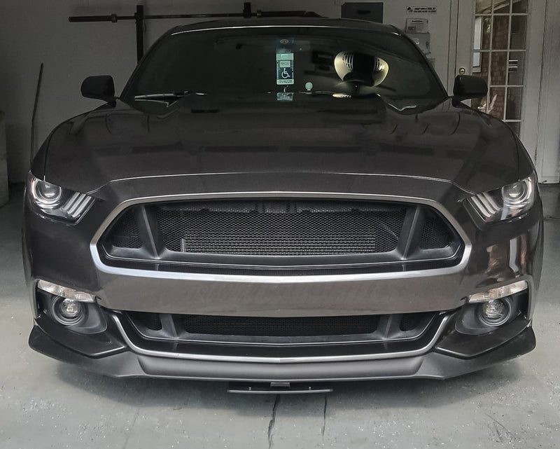 Load image into Gallery viewer, Ford Mustang GT (2015-2017) Honeycomb Grille Mesh Set - FSPE
