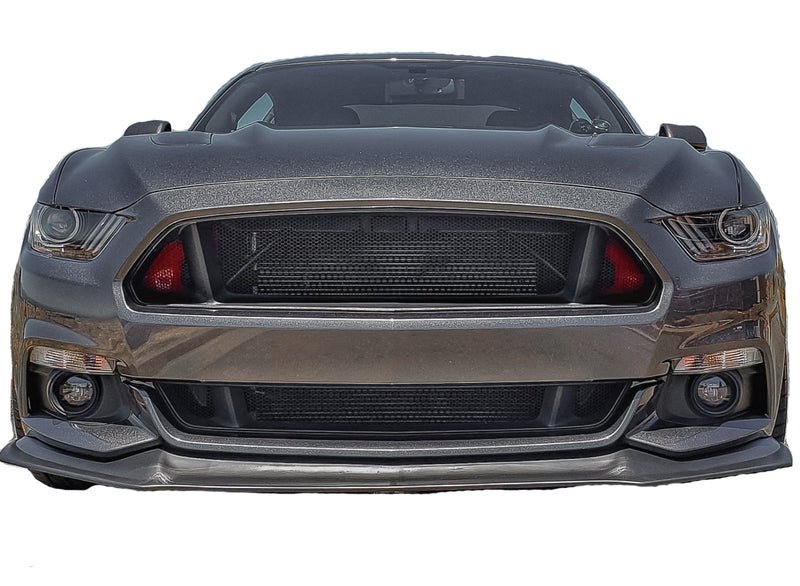 Load image into Gallery viewer, Ford Mustang GT (2015-2017) Honeycomb Grille Mesh Set - FSPE
