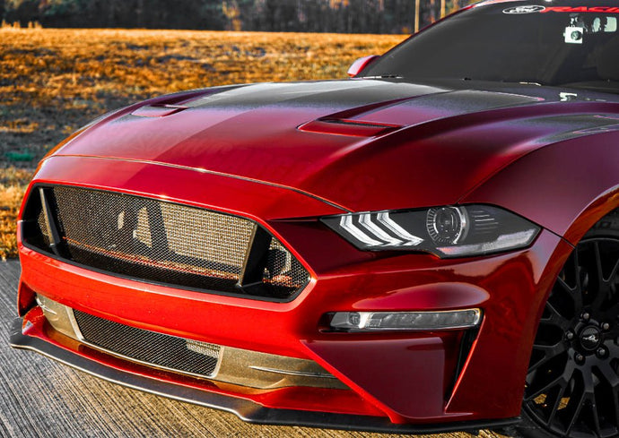 Ford Mustang GT (2018-2023) Honeycomb Grille Mesh Set - FSPE