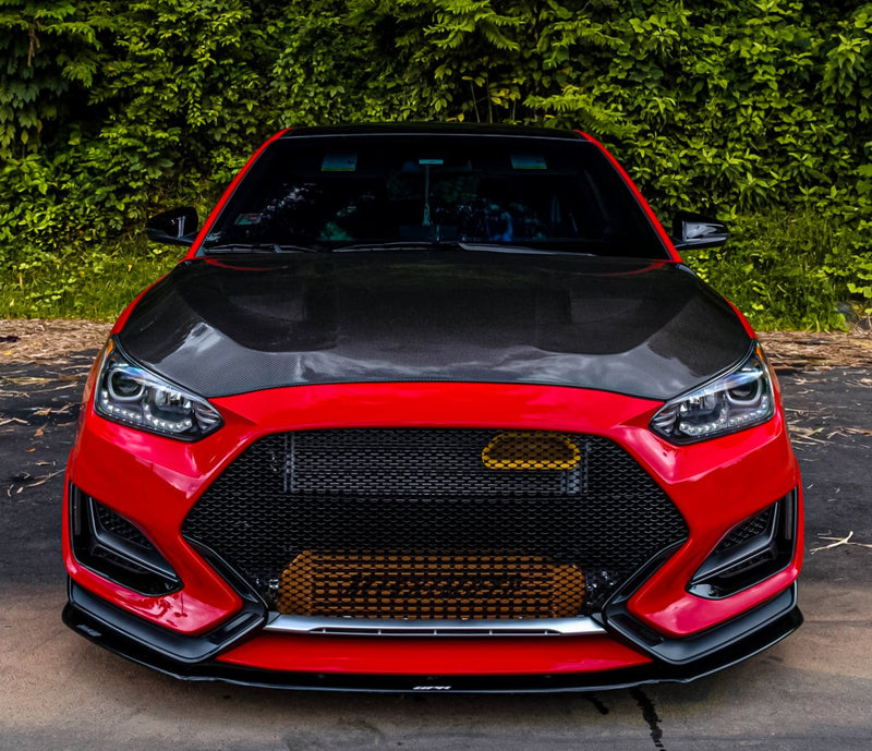 Load image into Gallery viewer, Hyundai Veloster N (2019-2022) Grille Insert - FSPE
