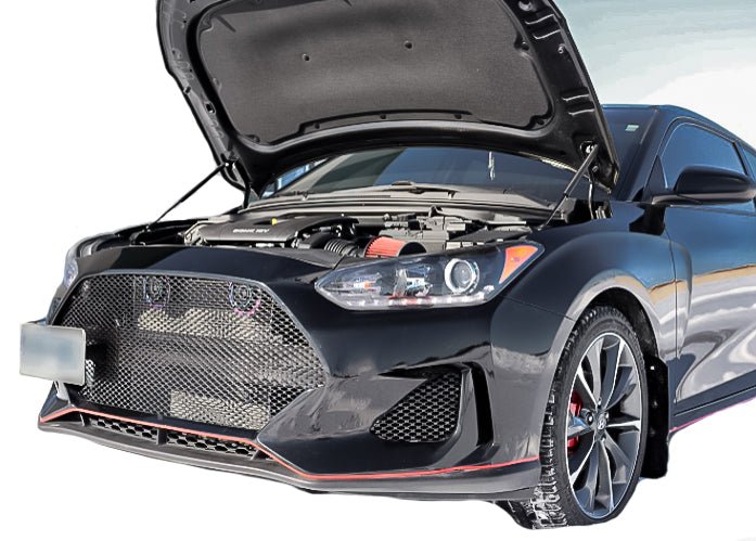 Load image into Gallery viewer, Hyundai Veloster Non &quot;N&quot; Version (2019 - 2021) Mesh Grille Insert - FSPE
